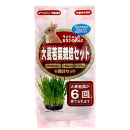Arata 大麥若葉栽培套裝 6次 