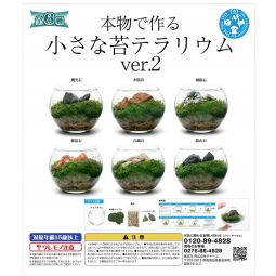 Leaf Corp 扭蛋 水族小苔蘚造景 (ver 3) 款式隨機