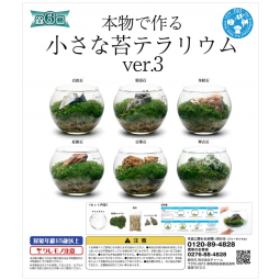 Leaf Corp 扭蛋 水族小苔蘚造景 (ver 3) 款式隨機