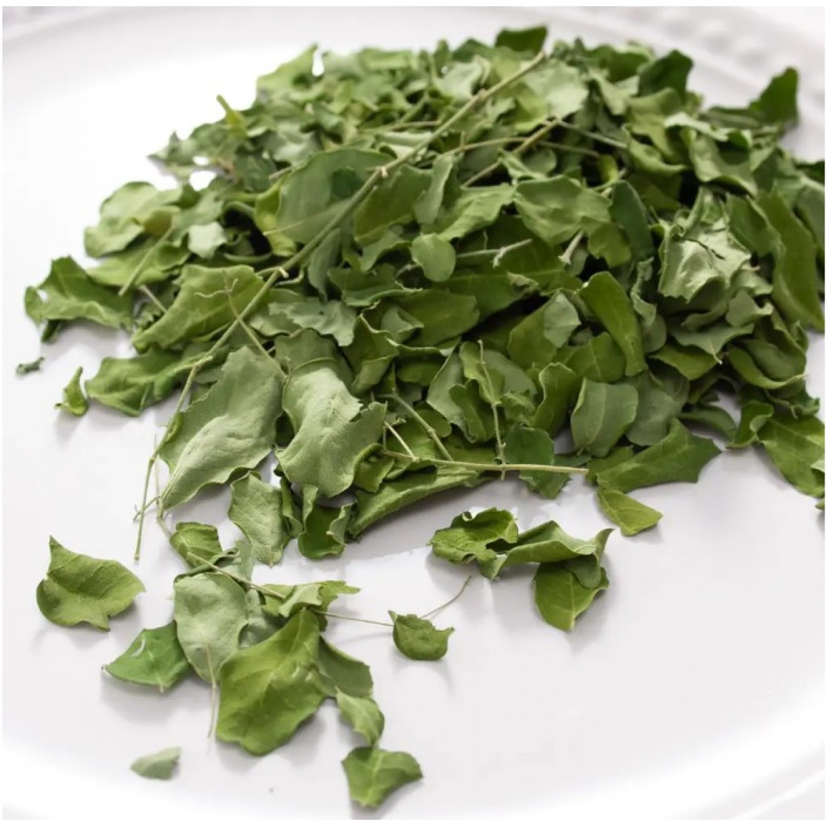 Leaf Corp 日本辣木葉 10g 小動物點心 無添加 無色素