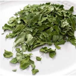 Leaf Corp 日本辣木葉 10g 小動物點心 無添加 無色素