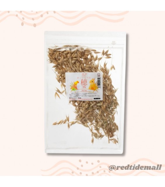 Leaf Corp 令和6年產燕麥穗 50g 兔子 鳥零食