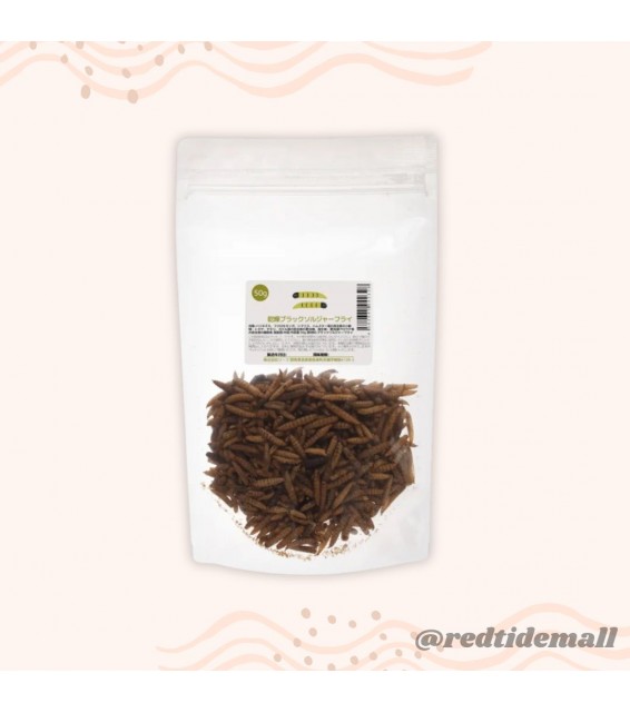 [預購PET] Leaf Corp 乾黑水虻 50g 兩棲爬蟲類刺蝟飛鼠食物 無農藥