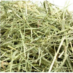 Leaf Corp 令和6年產 特級精選提摩西牧草 500g 