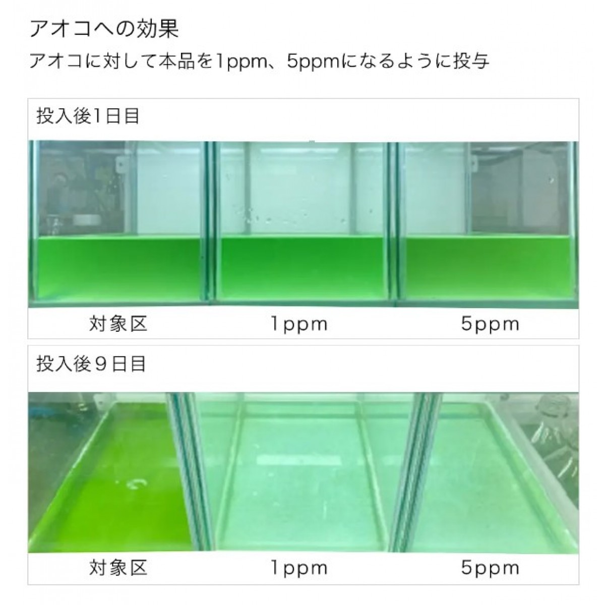 [預購AQUA] Leaf Corp 除藻劑 2g×3包 淡水用