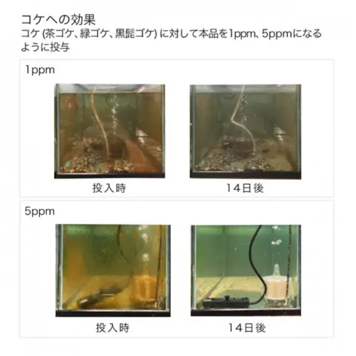 [預購AQUA] Leaf Corp 除藻劑 2g×3包 淡水用