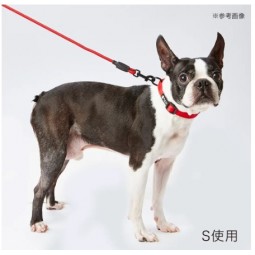 [預購] Petio Porta 幼犬頸圈S 紅色 (頸圍 27-40cm)