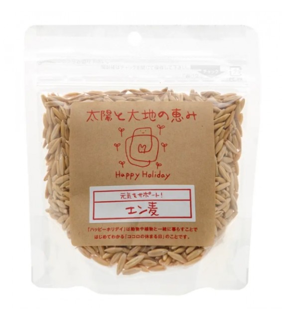 [預購PET] Happy Holiday 小動物雀鳥食用 燕麥 100g