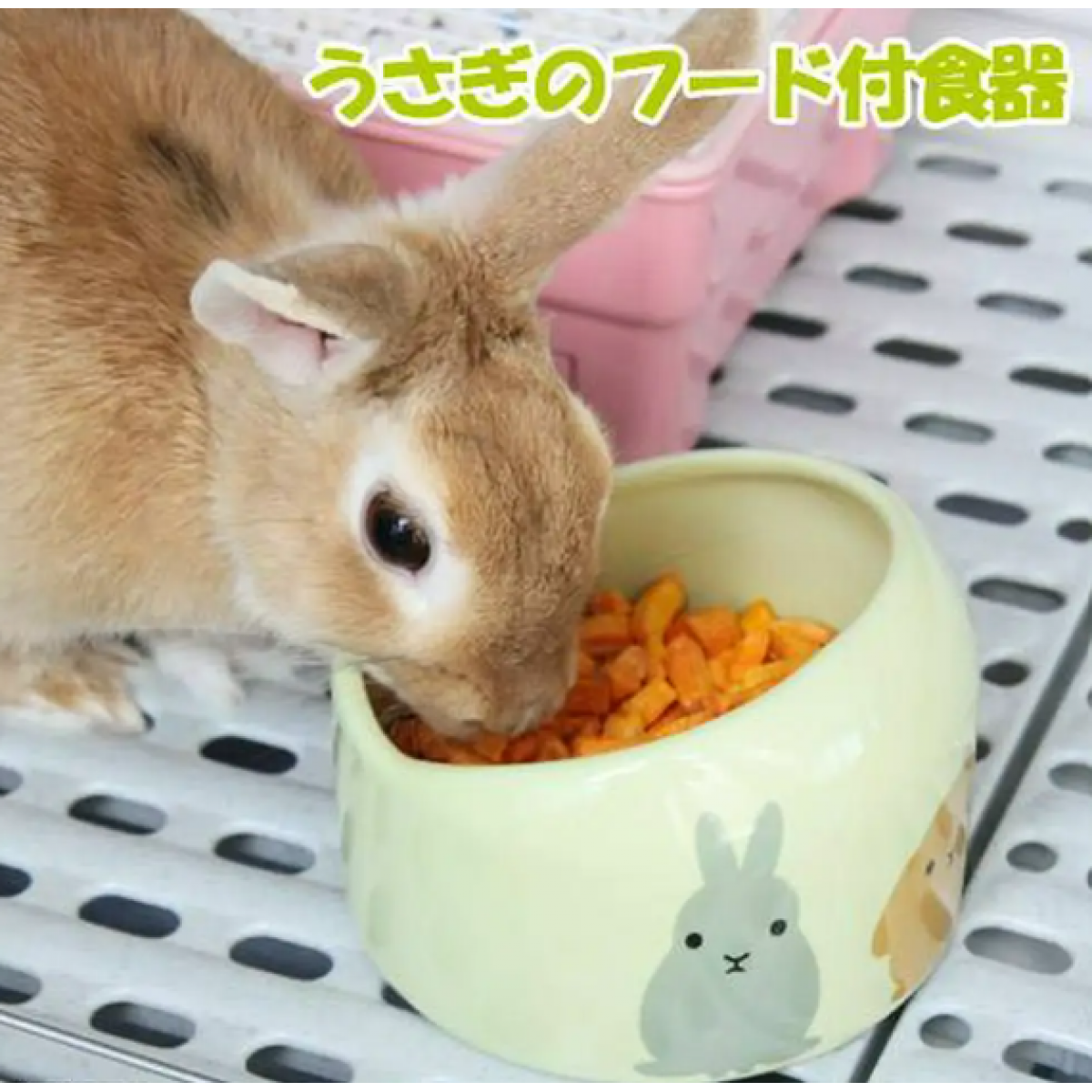 Marukan 兔兔餐碗 附排水孔食量刻度 (直徑13cm)