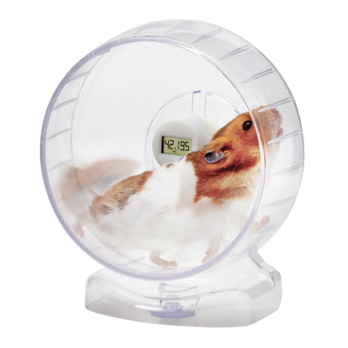 Marukan 新款鼠鼠跑輪連計步器 透明 17cm