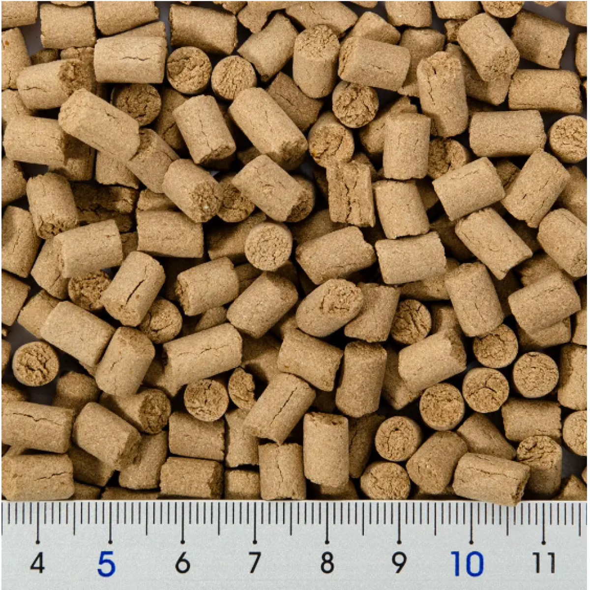 NPF bug's 小動物用粉蟲顆粒 50g