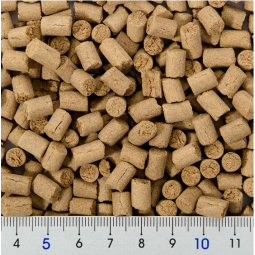 NPF bug's 小動物用粉蟲顆粒 50g