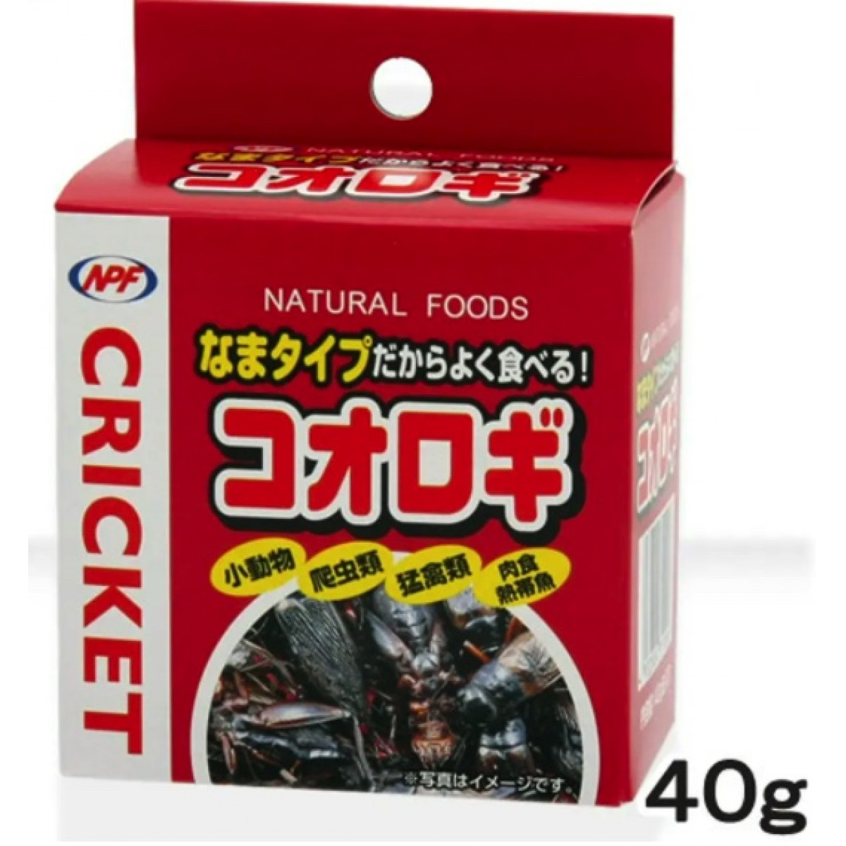 NPF 蟋蟀乾罐頭 40g 兩棲爬行刺蝟罐頭食品