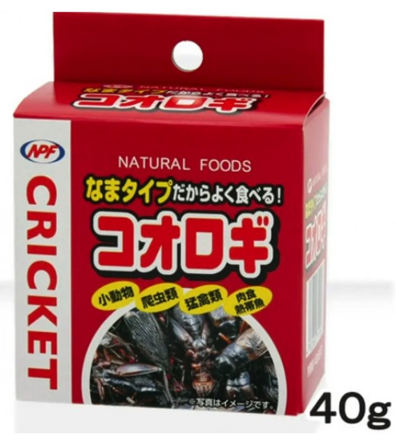 NPF 蟋蟀乾罐頭 40g 兩棲爬行刺蝟罐頭食品