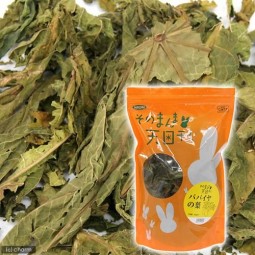 [預購PET] Kawai 木瓜乾葉 30g