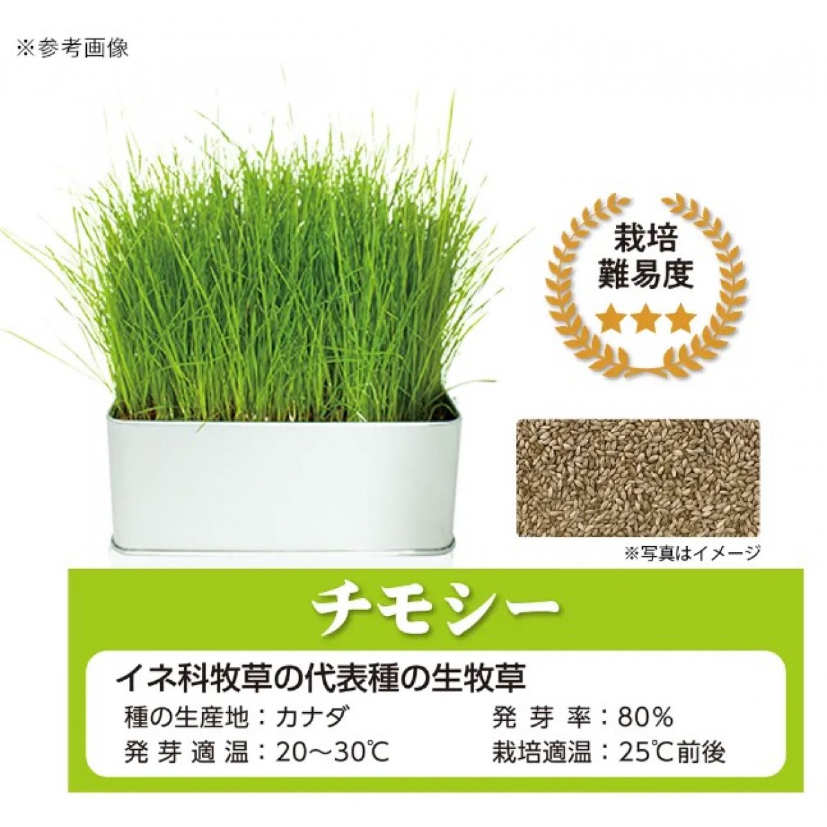 [預購PET] SELECTION FARM 栽培套裝 提摩西草