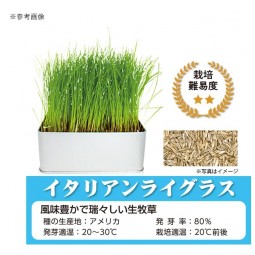 SELECTION FARM 栽培套裝<補充裝> 意大利黑麥草 (含壓縮土及種子)