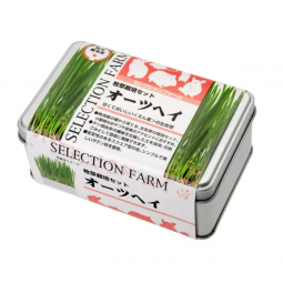 SELECTION FARM 栽培套裝 燕麥草