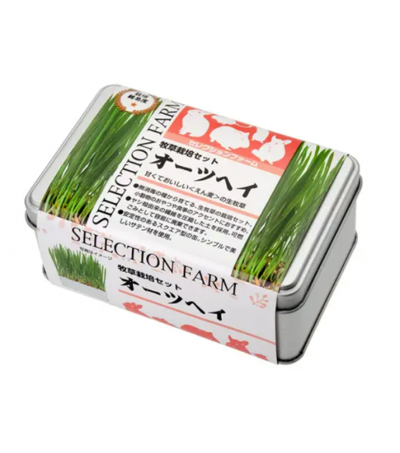 SELECTION FARM 栽培套裝 燕麥草