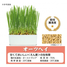SELECTION FARM 栽培套裝<補充裝> 燕麥草 (含壓縮土及種子)