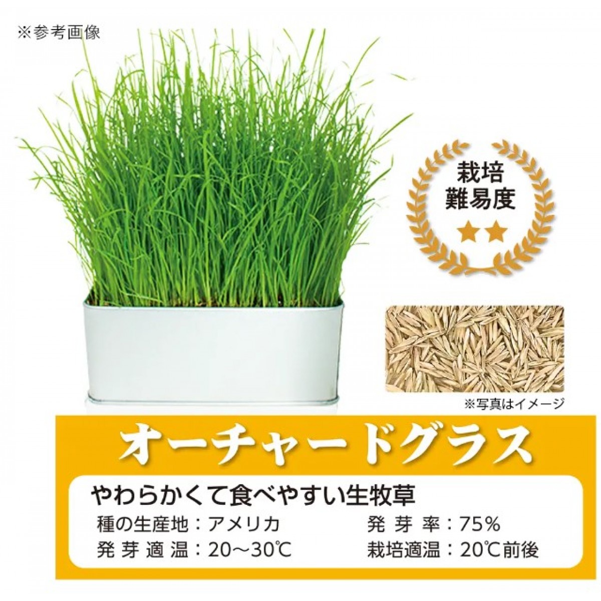 SELECTION FARM 栽培套裝<補充裝> 果園草 (含壓縮土及種子)