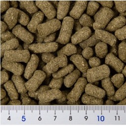 [預購REPTILE] Hikari 陸龜 大桑葉粒 550g 高纖維 高保水性
