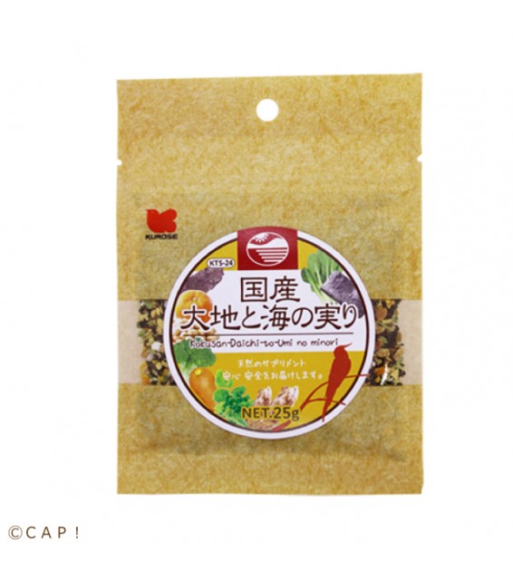 [預購BIRD] Kurose 黑瀨 雀鳥食品 國產雜菜粒 25g