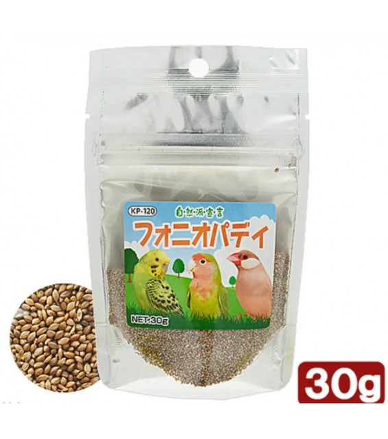Kurose 黑瀨 雀鳥食品 穗粒 30g