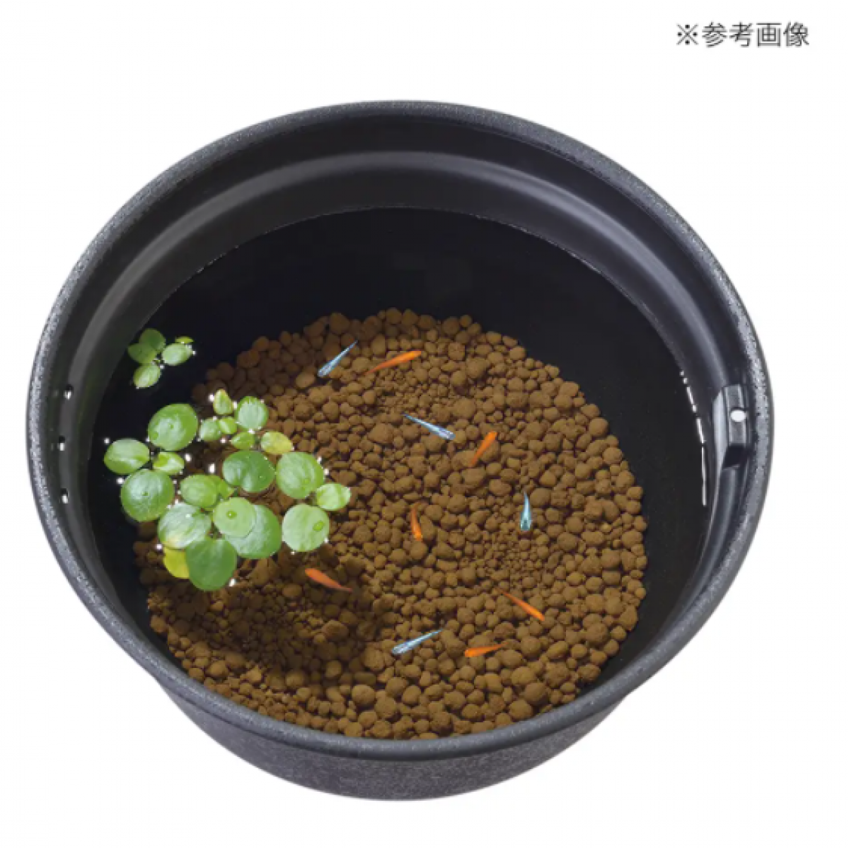 GEX 水景赤玉土 2.5L