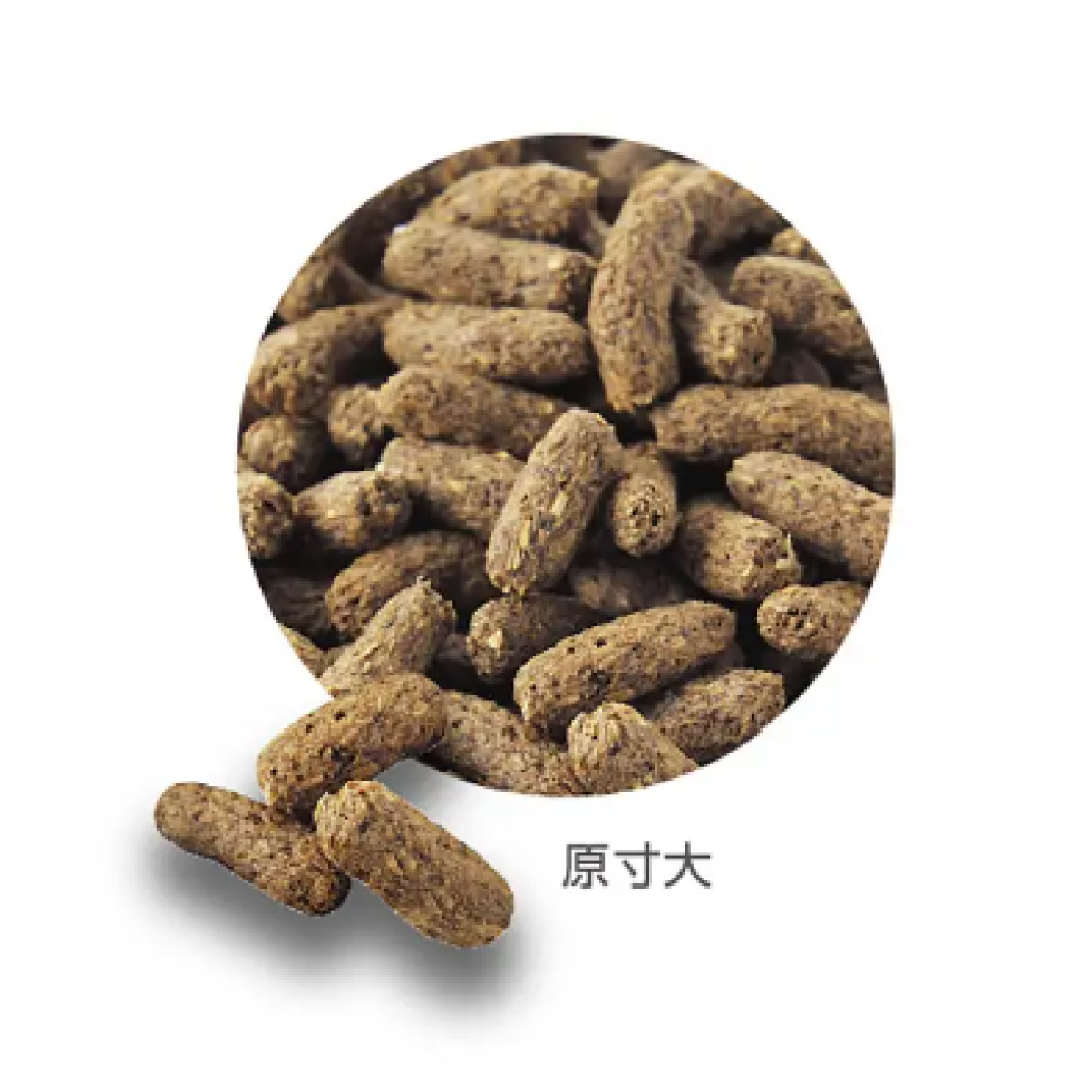 [預購PET] GEX 彩食健美 7種混合植物 低澱粉7歲以上兔糧 800g