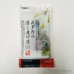 Sudo 日本首藤 漂浮產卵藻 (小)