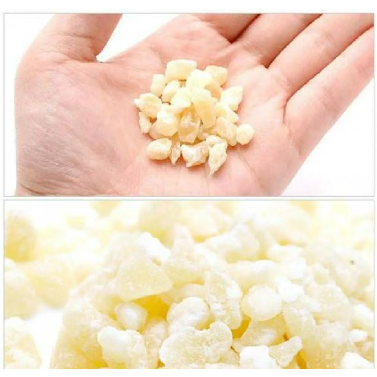 [預購PET] Sudo 水果王國 新鮮菠蘿乾 80g