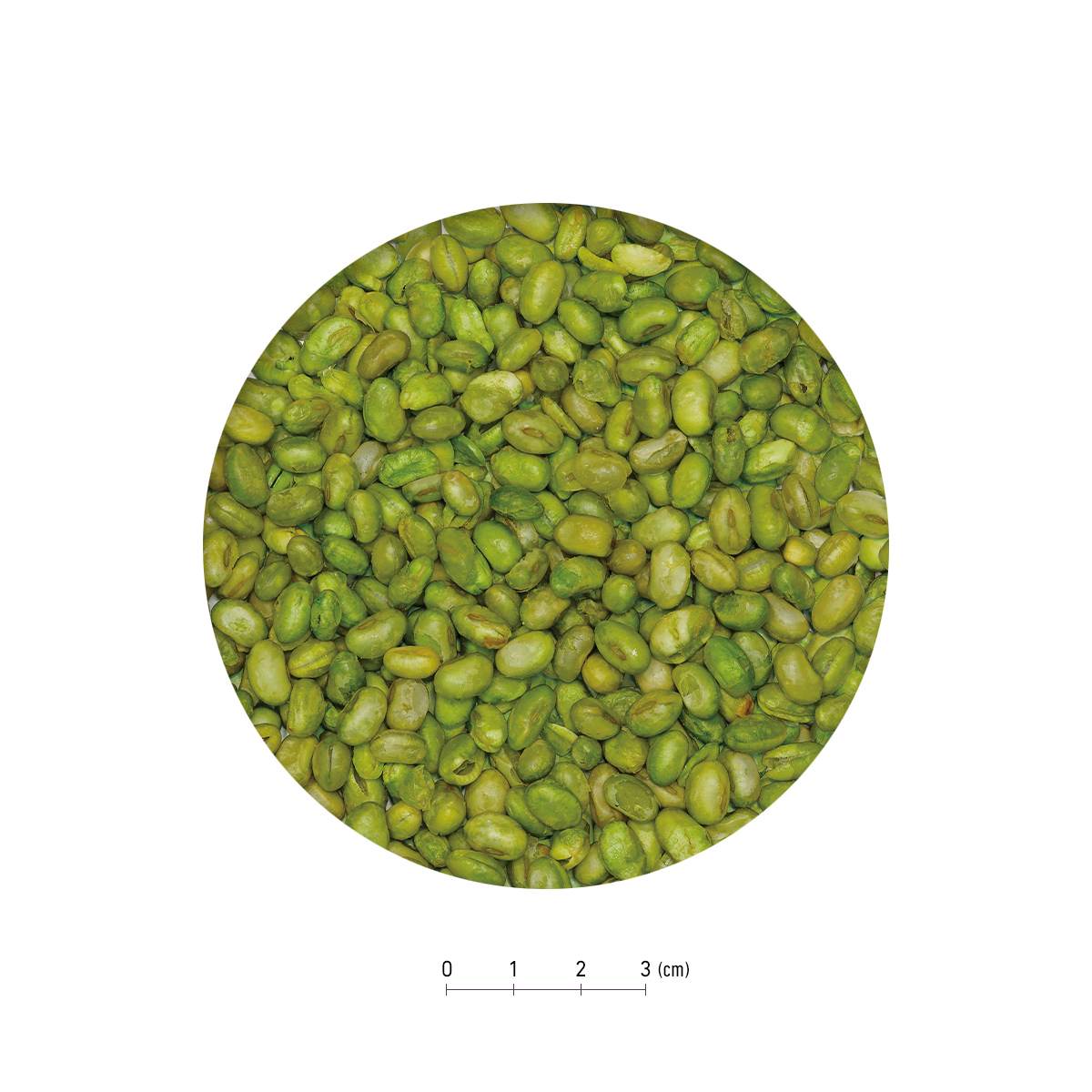 Sudo 小毛豆 13g