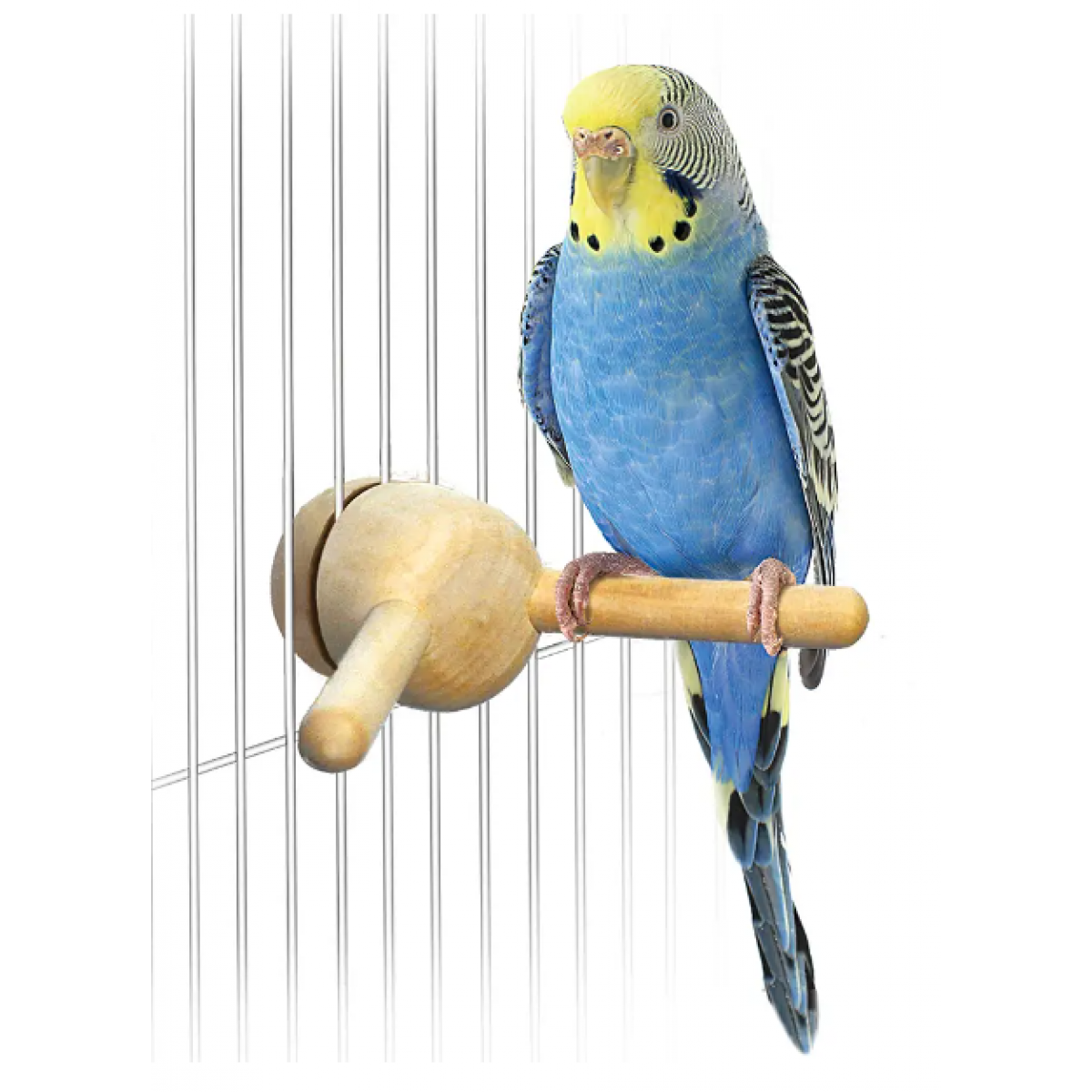 Sudo 雀鳥Y型棲木
