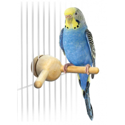 Sudo 雀鳥Y型棲木