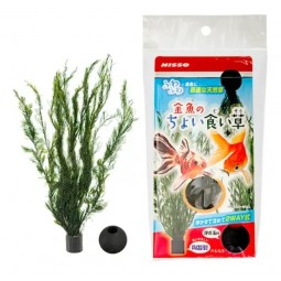 Nisso 金魚用繁殖海草 1個