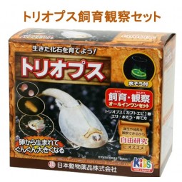 JPD 恐龍蝦飼養套裝