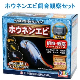 JPD 仙女蝦飼養套裝