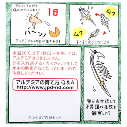 JPD 豐年蝦卵補充裝 