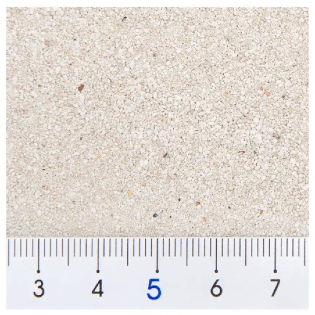 Sanko 龍貓浴砂 1.5kg (細顆粒高密度)