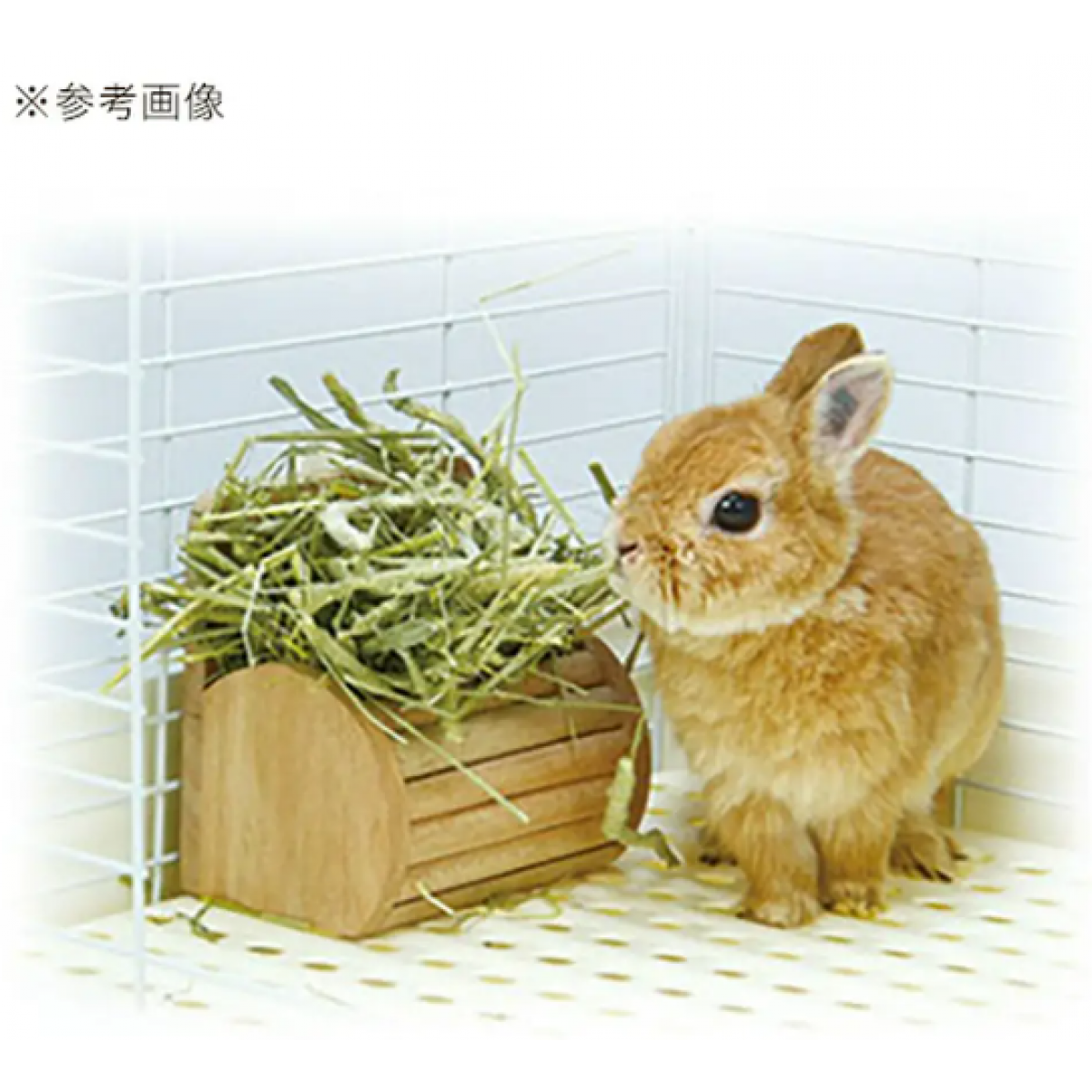 Sanko 兔兔牧草餵食木箱 