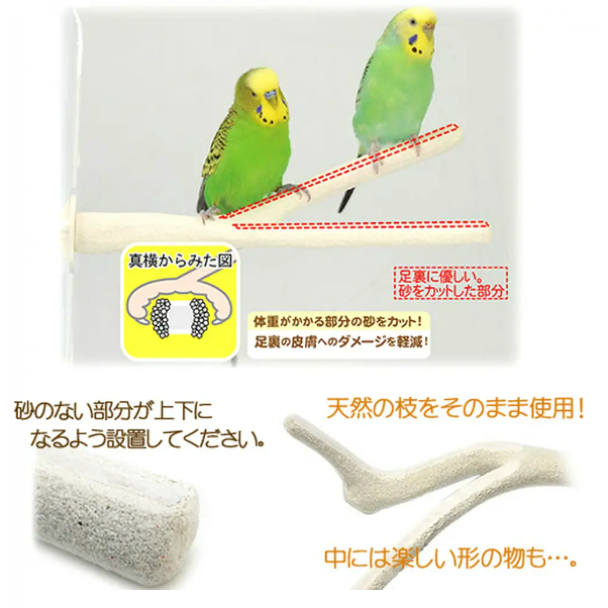 Sanko 雀鳥天然砂磨爪棲木 Y型25cm長