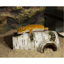 [預購PET] Sanko 草原洞穴 M 爬行動物兩棲動物庇護所藏身處