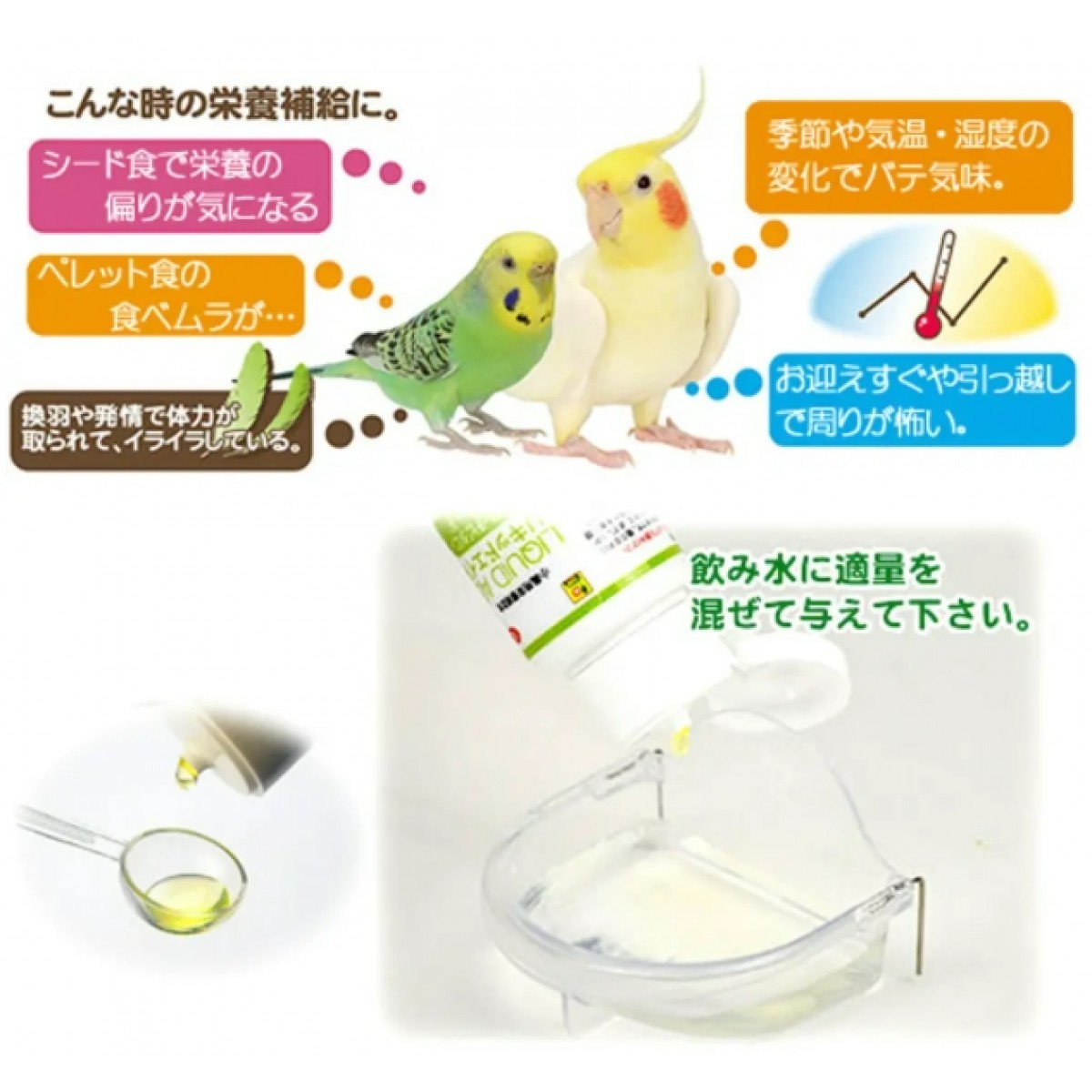 [預購PET] Sanko 雀鳥補充品 綜合維生素 60ml 