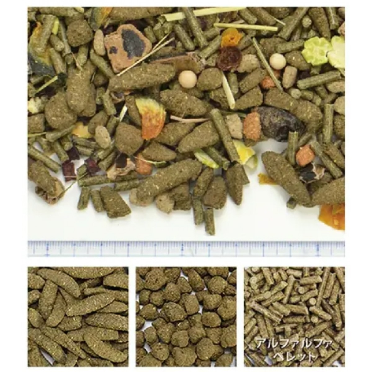 [預購PET] Sanko Well Balanced 龍貓主糧 800g