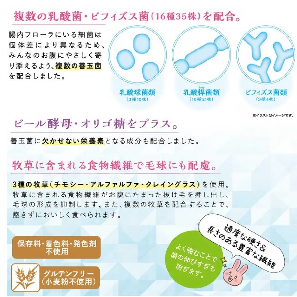 [預購PET] Animan 兔糧 腸活生活 900g