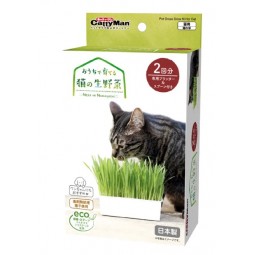 Cattyman 貓草培植套裝連花盆勺子 (2回份)