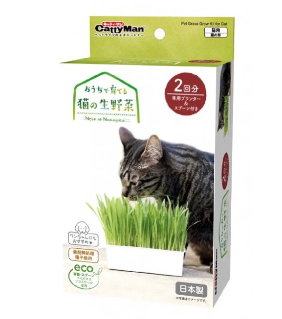 Cattyman 貓草培植套裝連花盆勺子 (2回份)