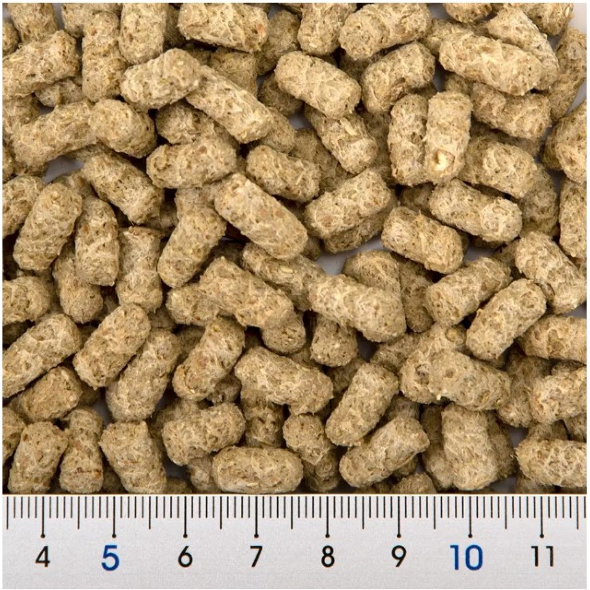 [預購PET] Hipet 極 熊仔鼠專用糧 200g 成長配方