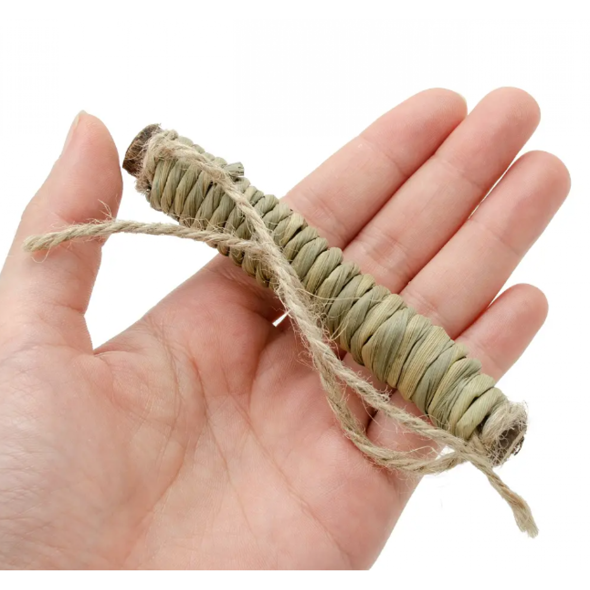 [預購PET] Hipet 芒果樹卷棒 5件 小動物磨牙玩具